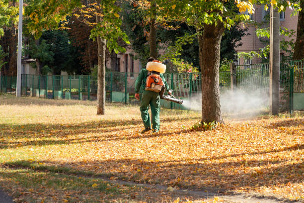 Best Rodent Control Near Me  in Cincinnati, OH